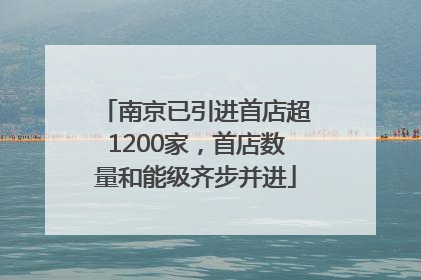 南京已引进首店超1200家，首店数量和能级齐步并进
