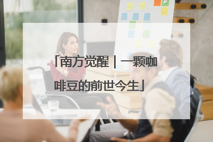 南方觉醒｜一颗咖啡豆的前世今生