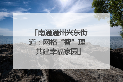 南通通州兴东街道：网格“智”理 共建幸福家园