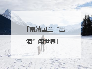 南靖国兰“出海”闯世界