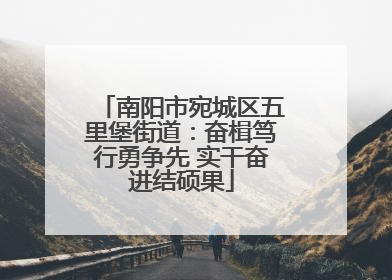 南阳市宛城区五里堡街道：奋楫笃行勇争先 实干奋进结硕果