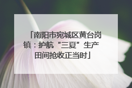 南阳市宛城区黄台岗镇：护航“三夏”生产 田间抢收正当时