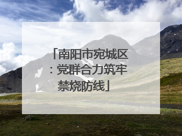南阳市宛城区：党群合力筑牢禁烧防线