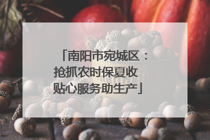 南阳市宛城区：抢抓农时保夏收 贴心服务助生产