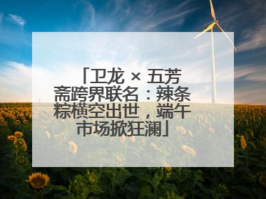 卫龙 × 五芳斋跨界联名：辣条粽横空出世，端午市场掀狂澜