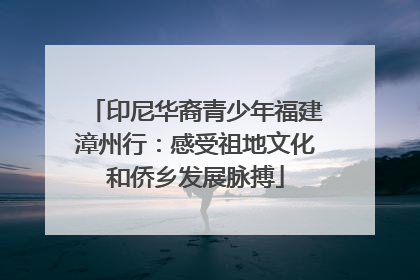 印尼华裔青少年福建漳州行：感受祖地文化和侨乡发展脉搏