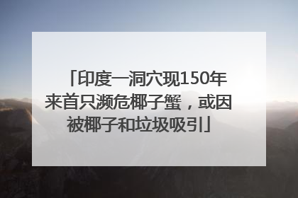 印度一洞穴现150年来首只濒危椰子蟹，或因被椰子和垃圾吸引