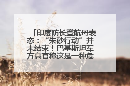 印度防长登航母表态：“朱砂行动”并未结束！巴基斯坦军方高官称这是一种危险的状况……