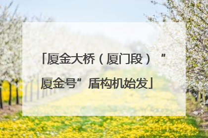 厦金大桥（厦门段）“厦金号”盾构机始发