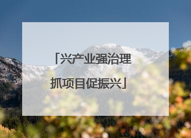 兴产业强治理 抓项目促振兴