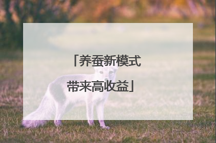 养蚕新模式带来高收益