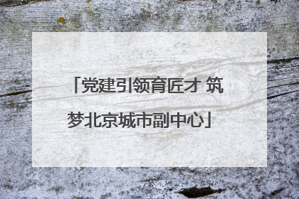 党建引领育匠才 筑梦北京城市副中心