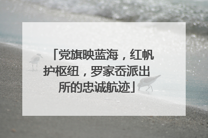 党旗映蓝海，红帆护枢纽，罗家岙派出所的忠诚航迹