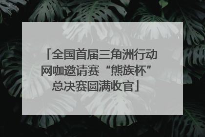 全国首届三角洲行动网咖邀请赛“熊族杯”总决赛圆满收官