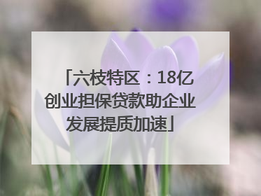 六枝特区：18亿创业担保贷款助企业发展提质加速