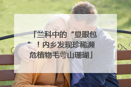 兰科中的“显眼包”！内乡发现珍稀濒危植物毛萼山珊瑚