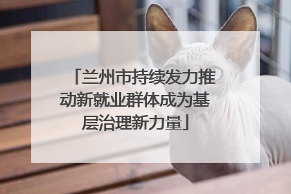 兰州市持续发力推动新就业群体成为基层治理新力量