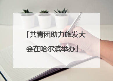 共青团助力旅发大会在哈尔滨举办