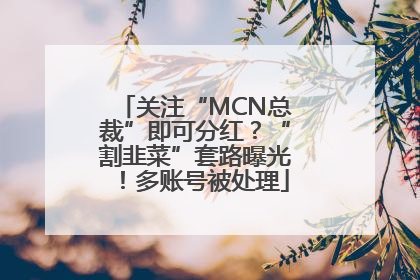 关注“MCN总裁”即可分红？“割韭菜”套路曝光！多账号被处理