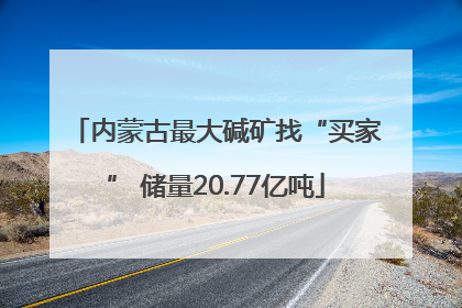 内蒙古最大碱矿找“买家” 储量20.77亿吨