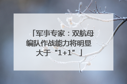 军事专家：双航母编队作战能力将明显大于“1+1”