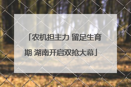 农机担主力 留足生育期 湖南开启双抢大幕
