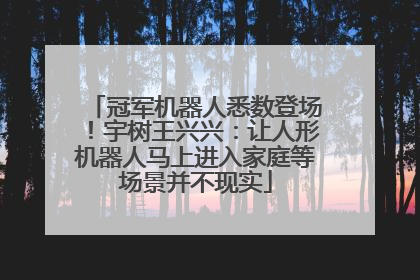 冠军机器人悉数登场！宇树王兴兴：让人形机器人马上进入家庭等场景并不现实