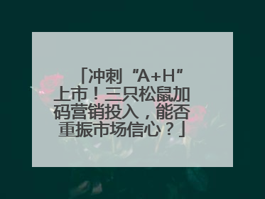 冲刺“A+H”上市！三只松鼠加码营销投入，能否重振市场信心？