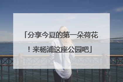 分享今夏的第一朵荷花！来杨浦这座公园吧