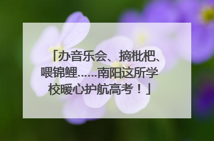 办音乐会、摘枇杷、喂锦鲤……南阳这所学校暖心护航高考！
