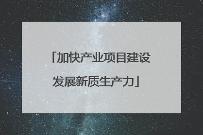 加快产业项目建设 发展新质生产力