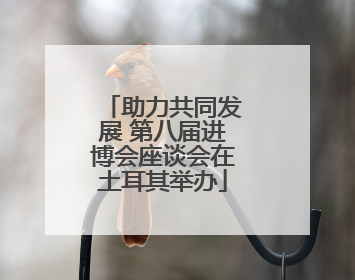 助力共同发展 第八届进博会座谈会在土耳其举办