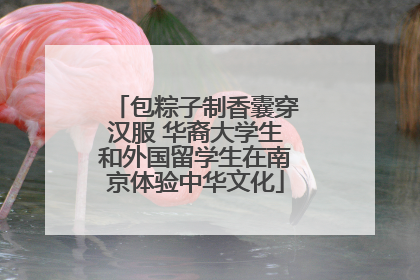 包粽子制香囊穿汉服 华裔大学生和外国留学生在南京体验中华文化