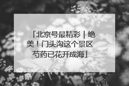 北京号最精彩｜绝美！门头沟这个景区芍药已花开成海
