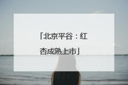 北京平谷：红杏成熟上市