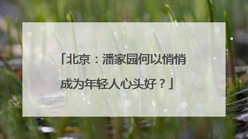 北京：潘家园何以悄悄成为年轻人心头好？