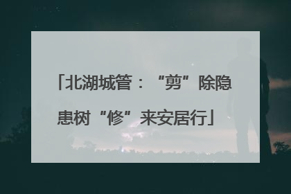 北湖城管：“剪”除隐患树“修”来安居行