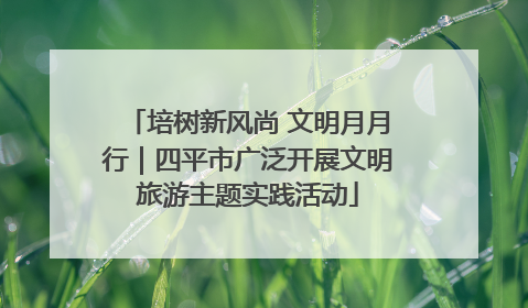 培树新风尚 文明月月行｜四平市广泛开展文明旅游主题实践活动