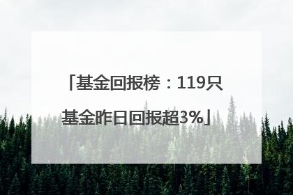 基金回报榜：119只基金昨日回报超3%