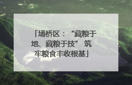 埇桥区：“藏粮于地、藏粮于技” 筑牢粮食丰收根基