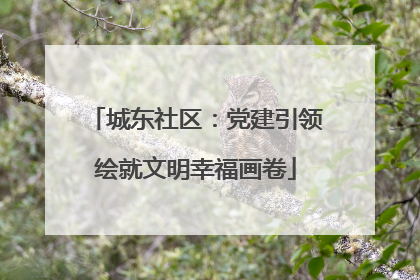 城东社区：党建引领绘就文明幸福画卷