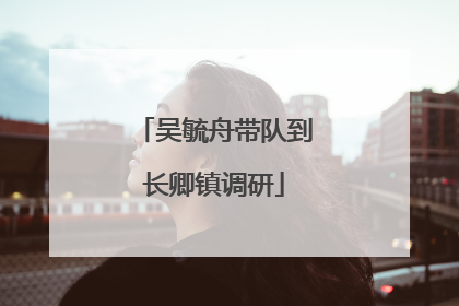 吴毓舟带队到长卿镇调研