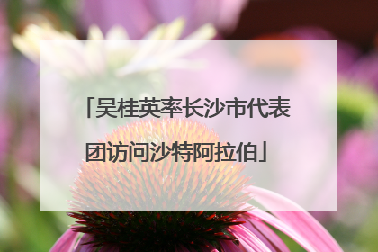 吴桂英率长沙市代表团访问沙特阿拉伯