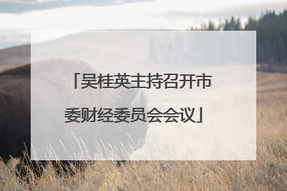 吴桂英主持召开市委财经委员会会议