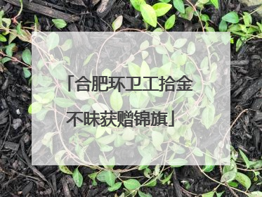 合肥环卫工拾金不昧获赠锦旗