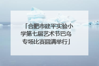 合肥市建平实验小学第七届艺术节巴乌专场比赛圆满举行