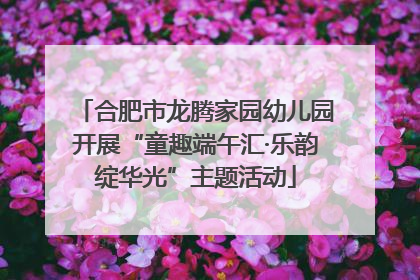 合肥市龙腾家园幼儿园开展“童趣端午汇·乐韵绽华光”主题活动