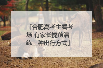 合肥高考生看考场 有家长提前演练三种出行方式