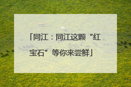 同江：同江这颗“红宝石”等你来尝鲜