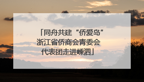 同舟共建“侨爱岛” 浙江省侨商会青委会代表团走进嵊泗
